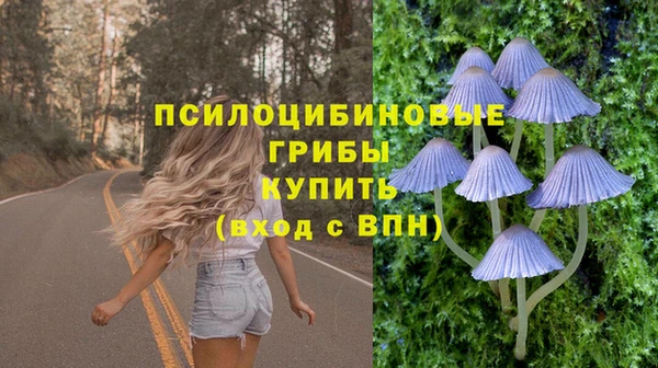 молекула духа Абинск