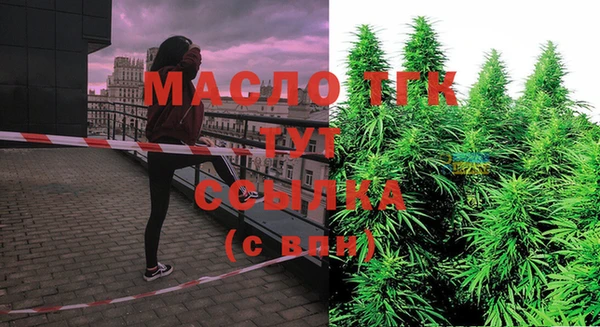 хмурый Абаза