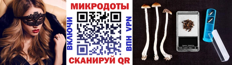 цена наркотик  Щёлкино  Псилоцибиновые грибы MAGIC MUSHROOMS 